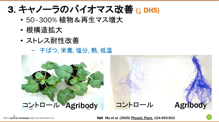 キャノーラのバイオマス改善