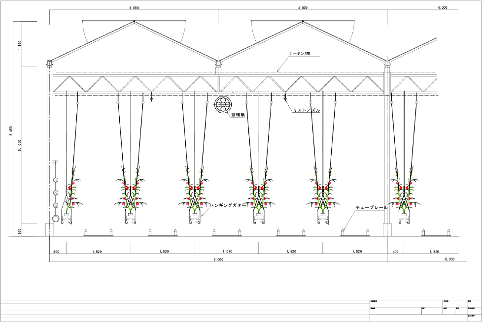 ハウス栽培断面図