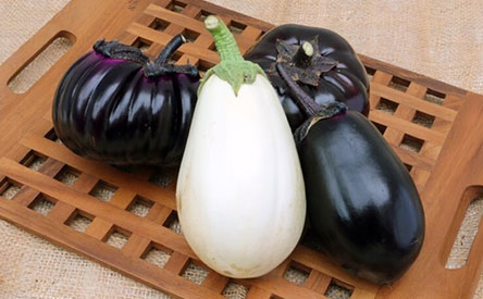 MIKAN有機ファーム